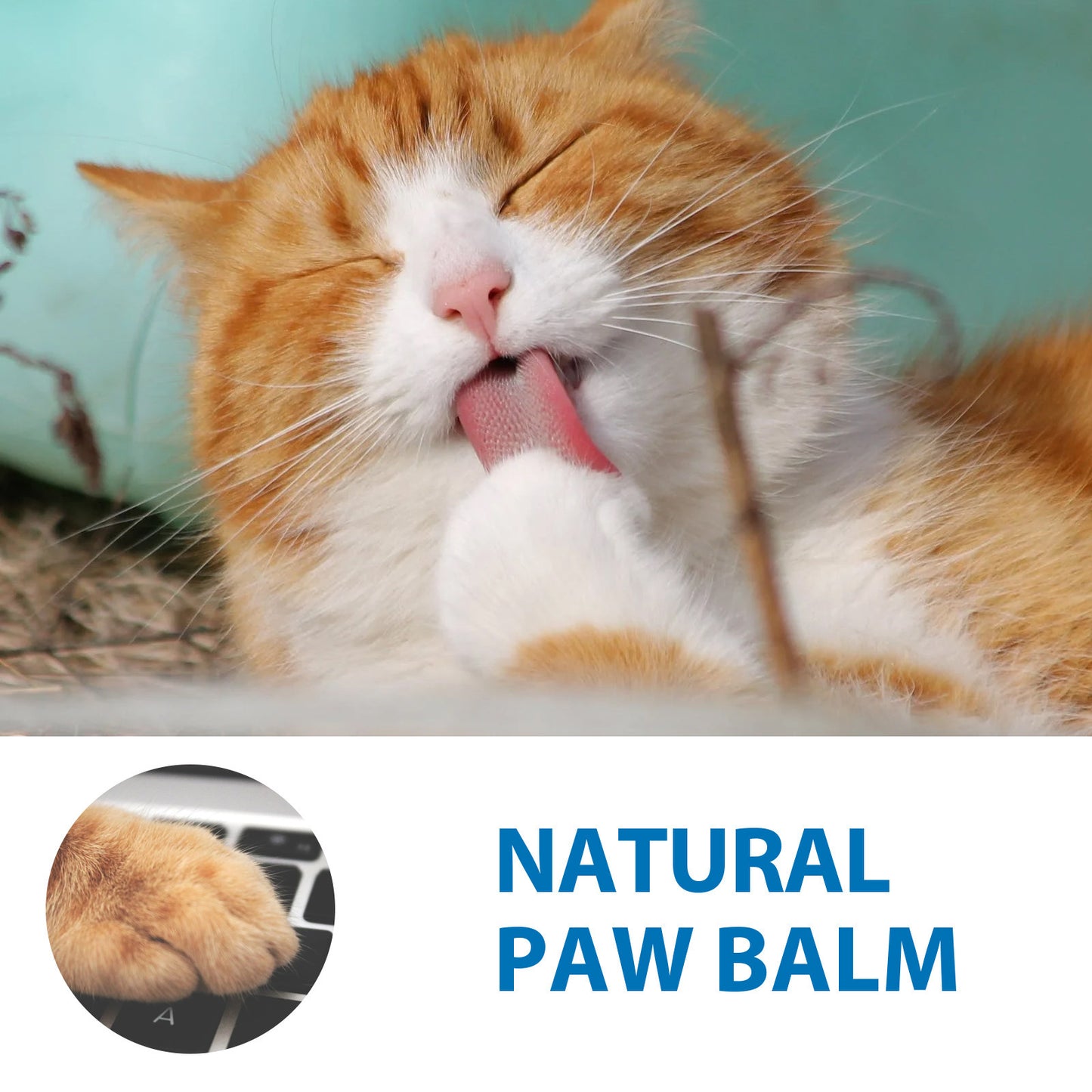 Cat’s Paw Moisturizing Stick – Nourishing & Anti-Chapping Balm (15g)