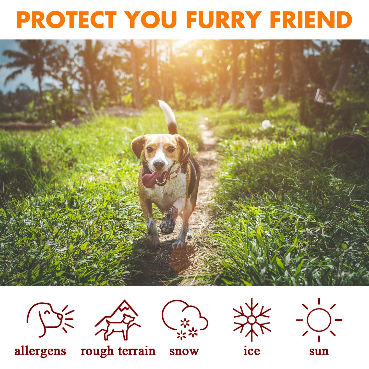 Pet Paw & Nose Balm – Natural Moisturizing Protection (10g / 20g / 30g / 50g)