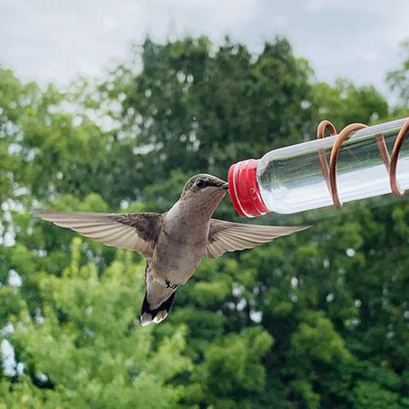 Handmade Copper Wire Hummingbird Feeder – PET Bottle Garden Feeder with Suction Cups