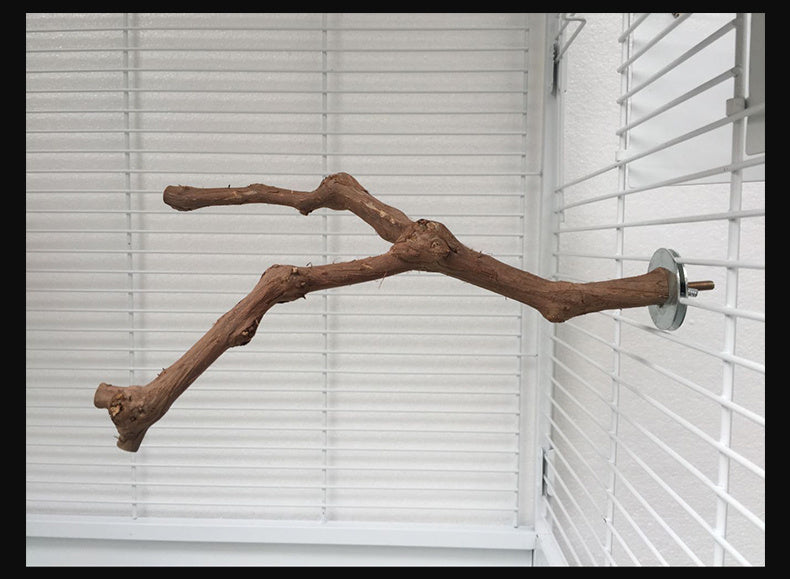 Natural Grape Wood Bird Perch – Unique Parrot & Cage Habitat