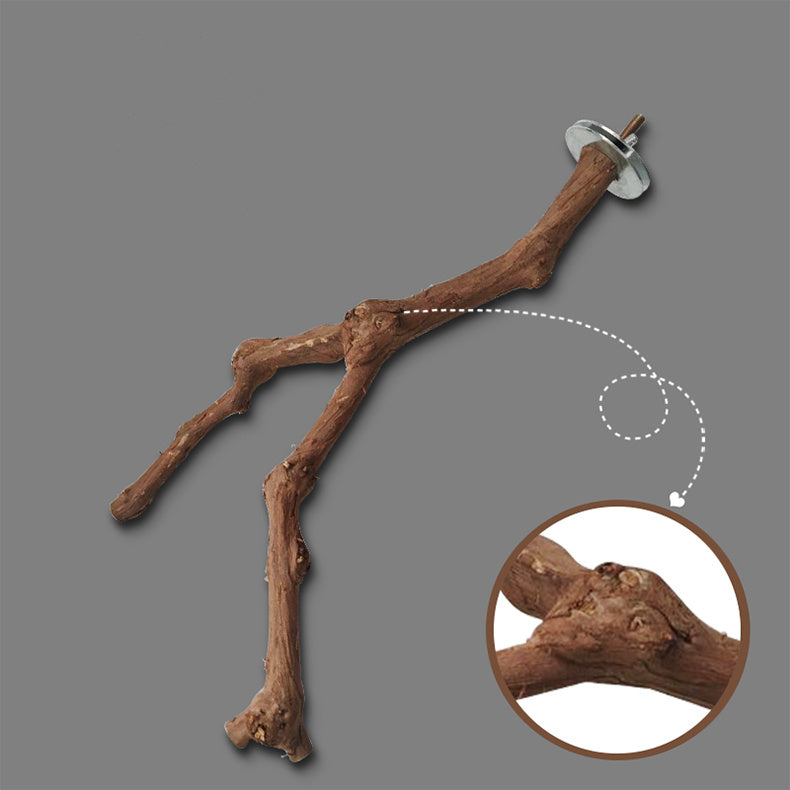 Natural Grape Wood Bird Perch – Unique Parrot & Cage Habitat