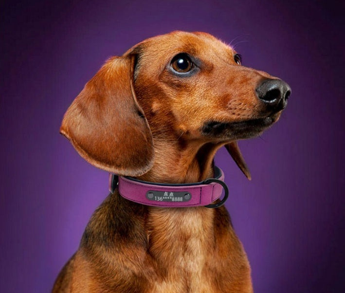 Premium Microfiber Leather Dog Collar – Adjustable, Durable & Comfortable