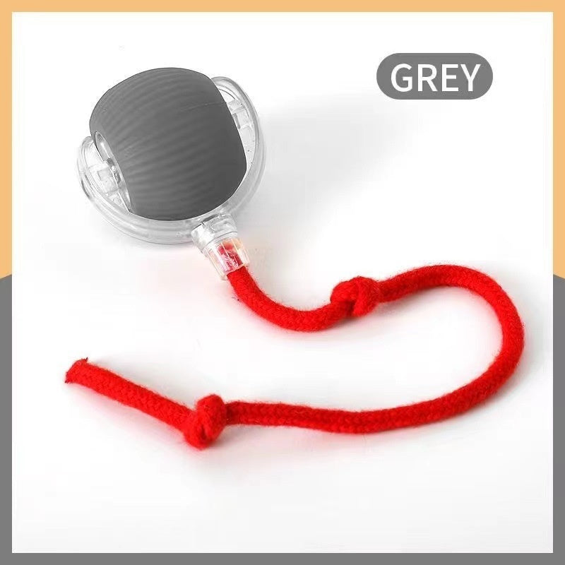 Interactive Pet Toy Ball – Smart, Plush & Tether Options
