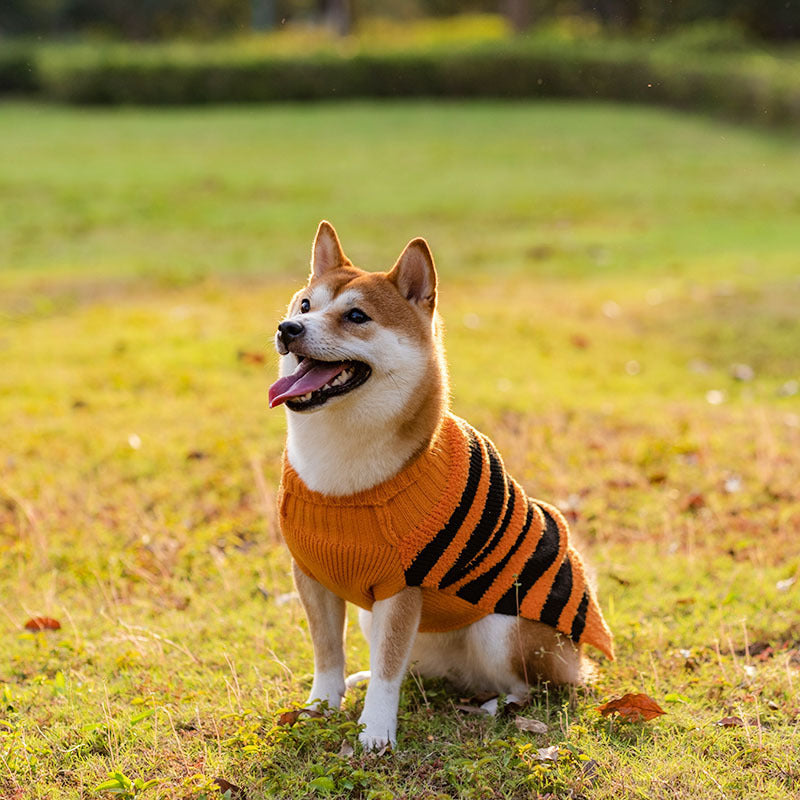 Halloween Dog Sweater – Cozy Knit Pet Outfit for Small Dogs