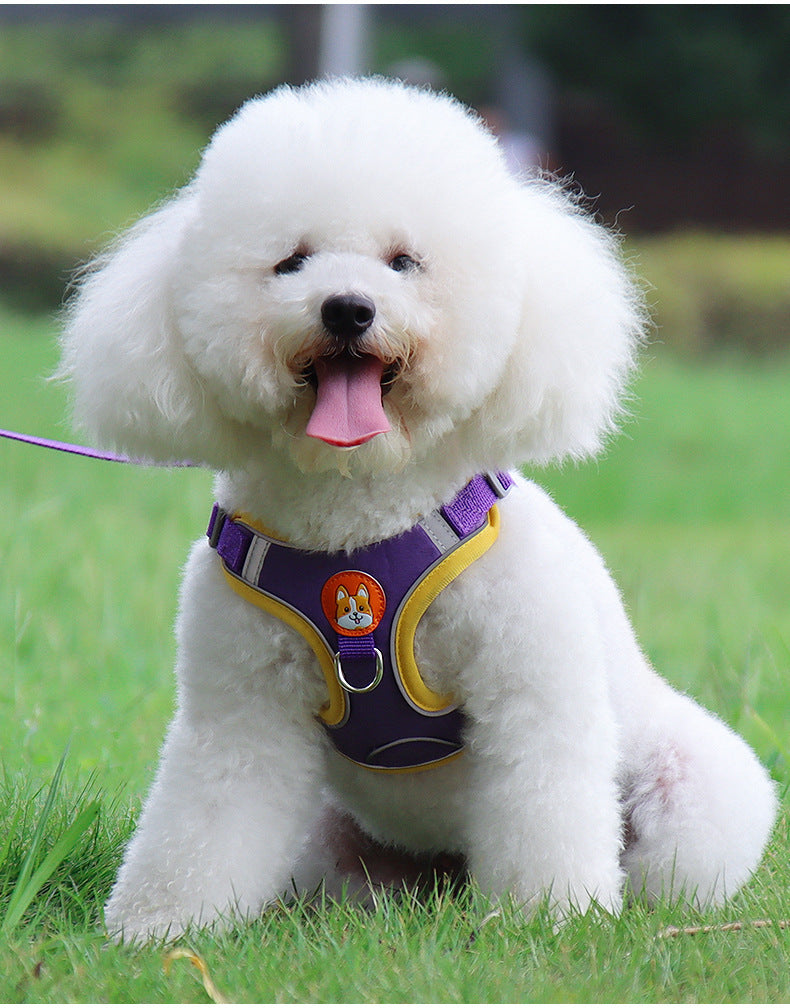 Reflective Dog Harness with Leash – Soft Suede, Lightweight & Comfortable