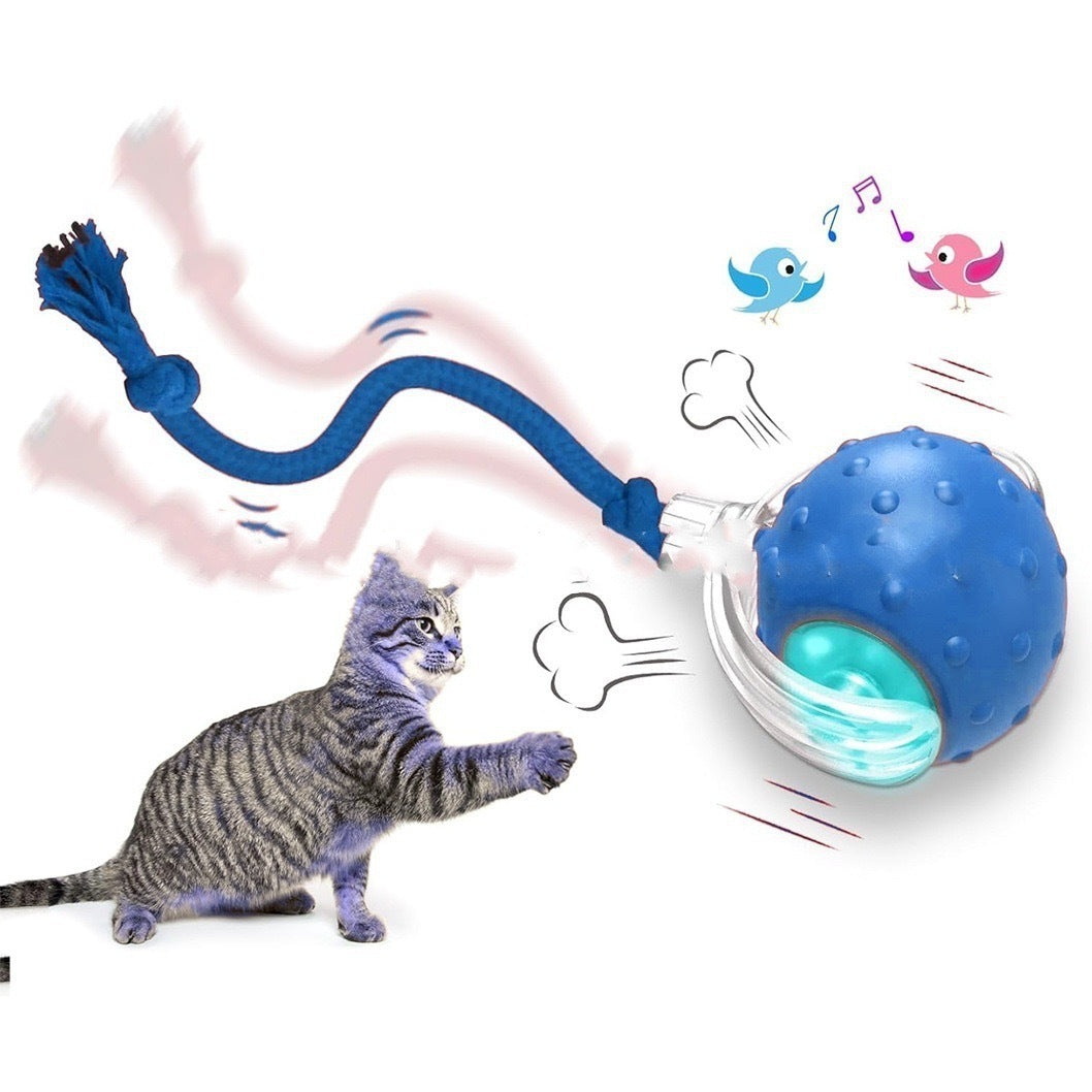 Interactive Magic Tail Cat Toy Ball – Auto Motion, Chirping & Plush Options