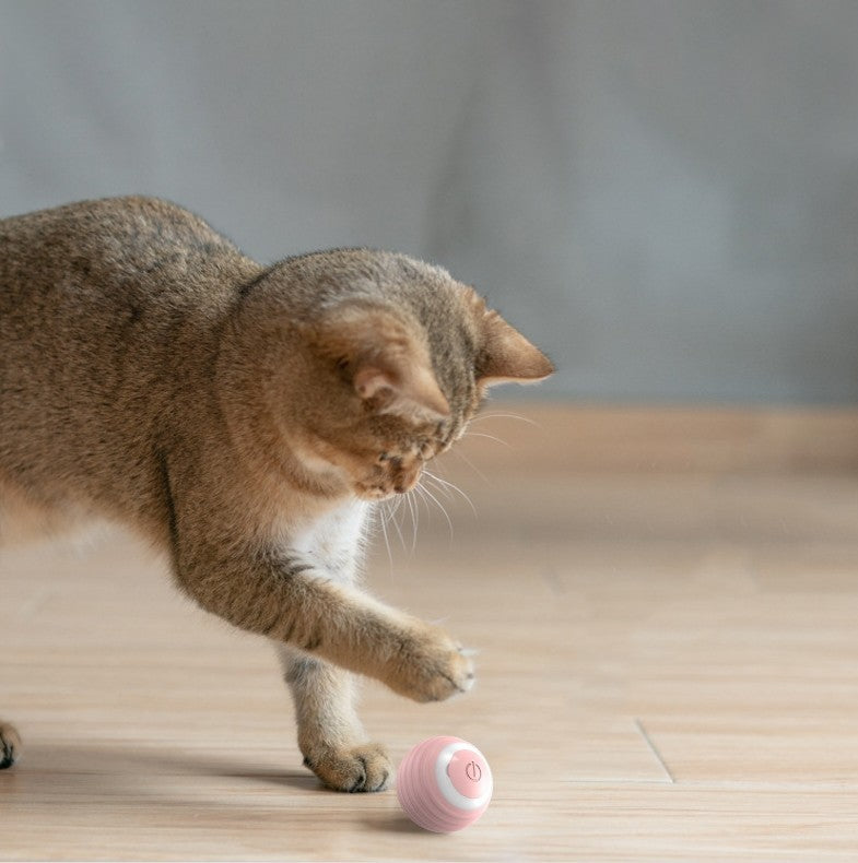 Rechargeable Cat Interactive Ball Toy – Automatic Rolling Silicone Play Ball
