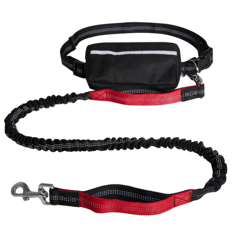 Durable Nylon Dog Leash – Strong & Comfortable Lead for Medium to Large Dogs