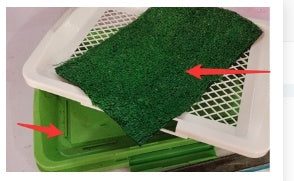 Pet Training Toilet with Detachable Mesh & Lawn Carpet – Indoor Dog & Puppy Potty