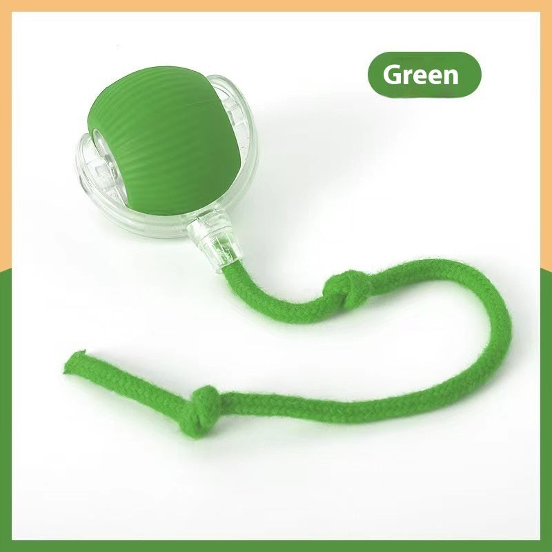 Interactive Pet Toy Ball – Smart, Plush & Tether Options