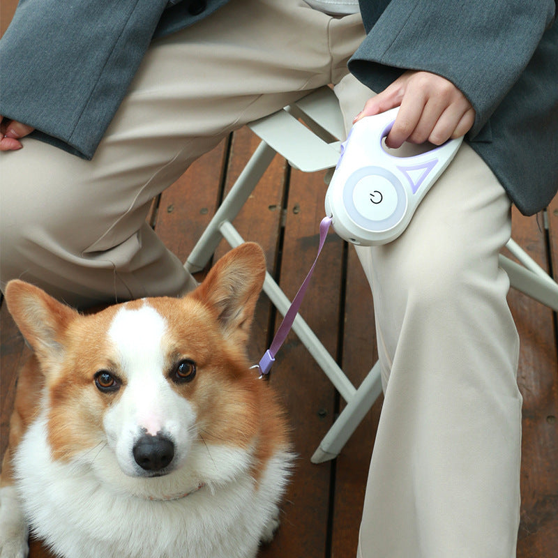 Retractable Dog Leash with One-Hand Brake – Telescopic, Explosion-Proof Options, with Optional Collar