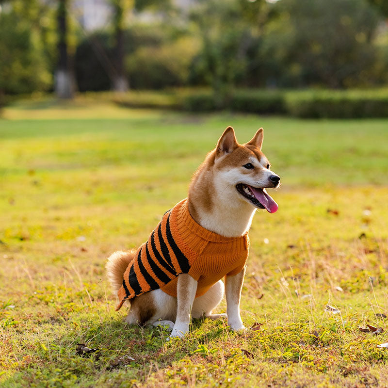 Halloween Dog Sweater – Cozy Knit Pet Outfit for Small Dogs