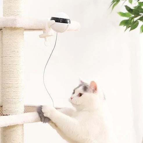 Interactive Electric Cat Toy with Rope & Real Fur Ball – Fun Play Ball for Cats