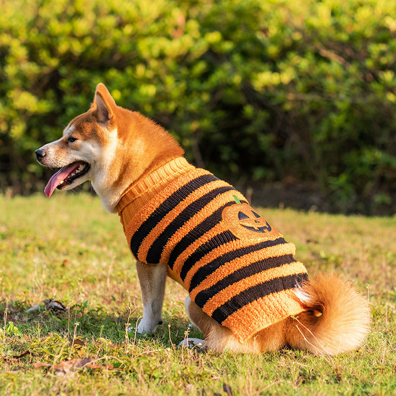 Halloween Dog Sweater – Cozy Knit Pet Outfit for Small Dogs