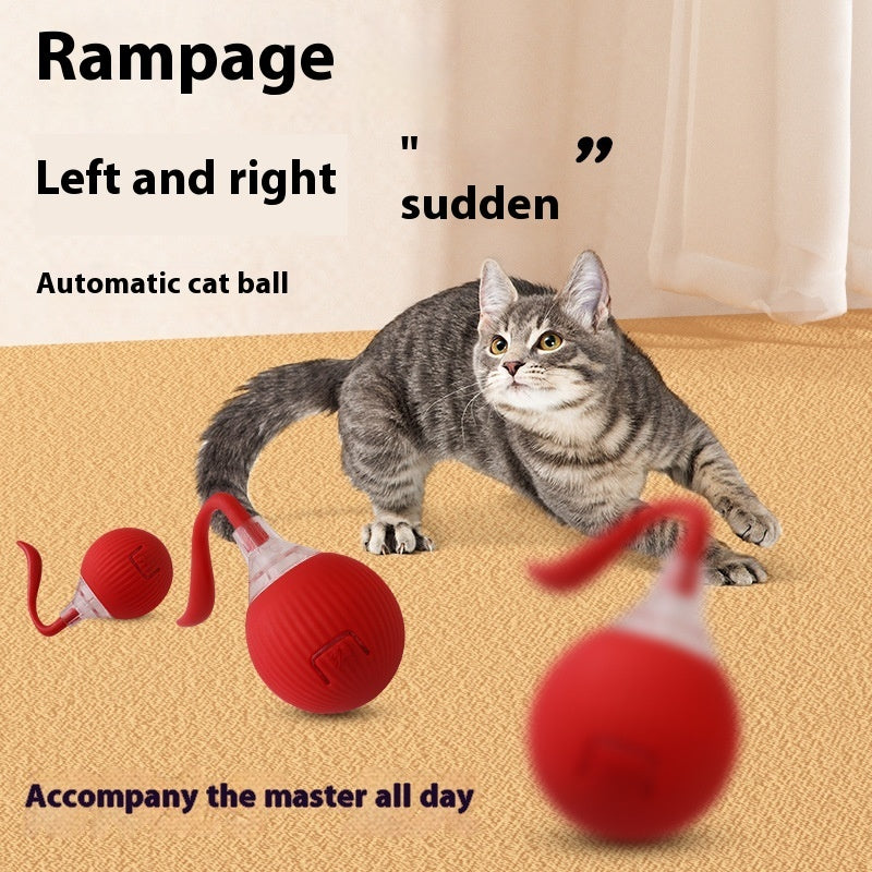 Interactive Magic Tail Cat Toy Ball – Auto Motion, Chirping & Plush Options