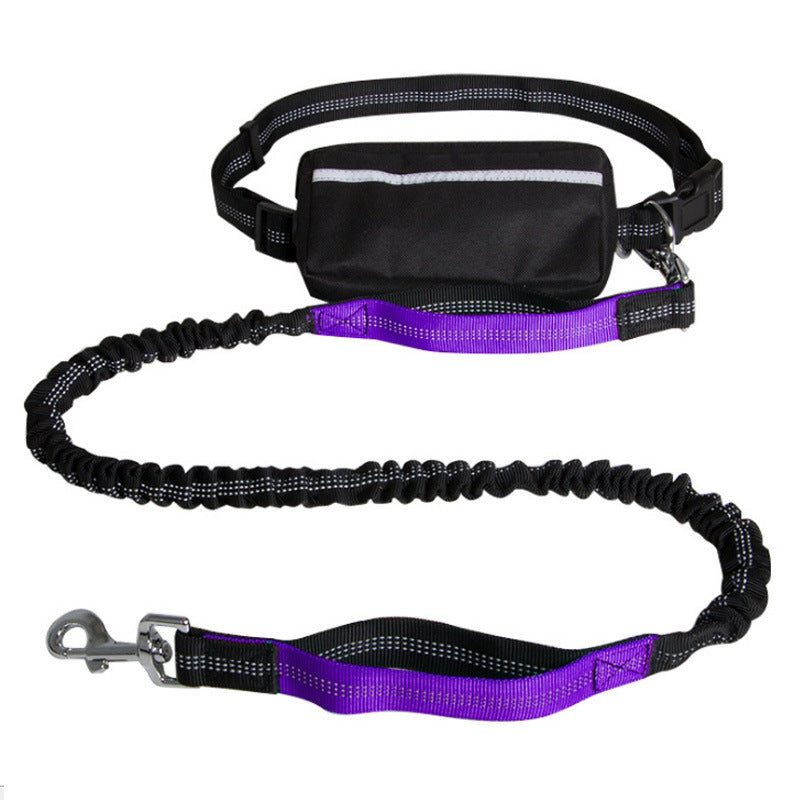 Durable Nylon Dog Leash – Strong & Comfortable Lead for Medium to Large Dogs