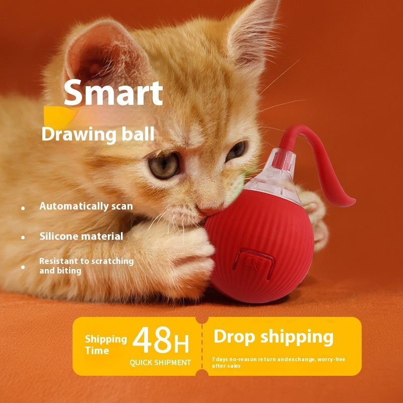 Interactive Magic Tail Cat Toy Ball – Auto Motion, Chirping & Plush Options