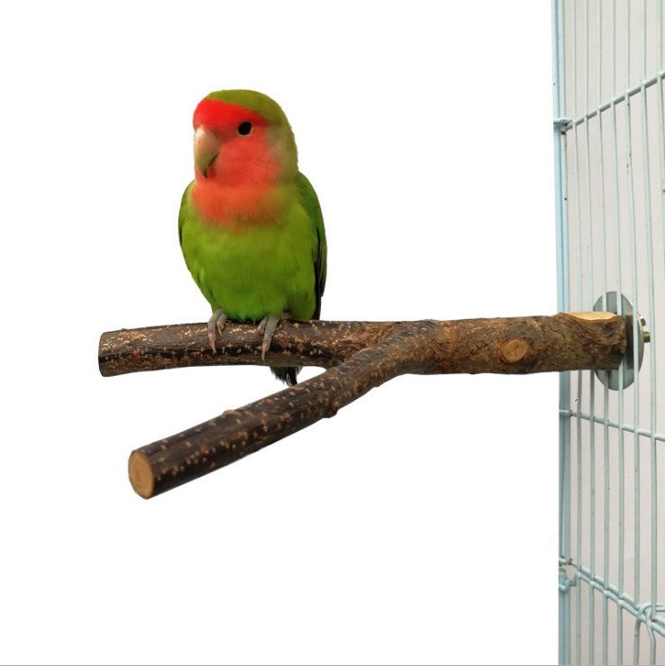 Natural Apple Wood Bird Perch Ring – Chew & Play Toy for Small to Medium Birds