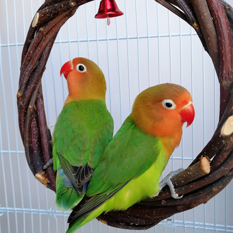 Natural Apple Wood Bird Perch Ring – Chew & Play Toy for Small to Medium Birds