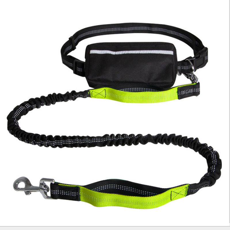 Durable Nylon Dog Leash – Strong & Comfortable Lead for Medium to Large Dogs