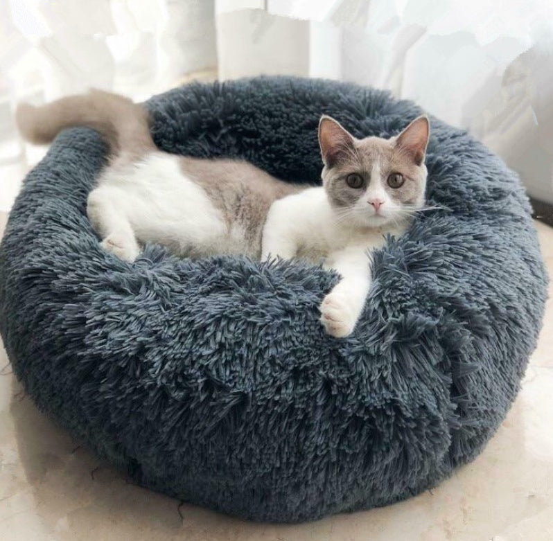 Comfy Pet Furniture, Beds & Sofas