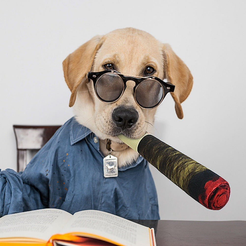 Must-Have Pet Clothing & Accessories