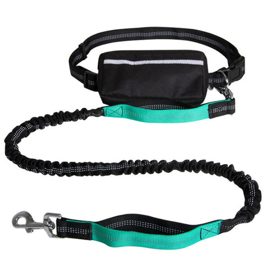 Durable Nylon Dog Leash – Strong & Comfortable Lead for Medium to Large Dogs