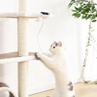 Interactive Electric Cat Toy with Rope & Real Fur Ball – Fun Play Ball for Cats