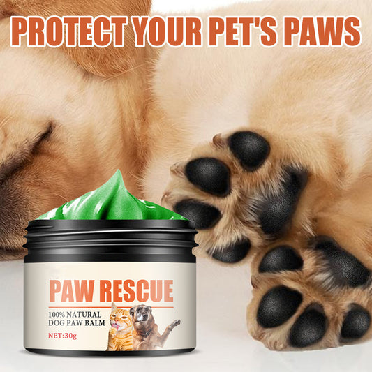 Pet Paw & Nose Balm – Natural Moisturizing Protection (10g / 20g / 30g / 50g)