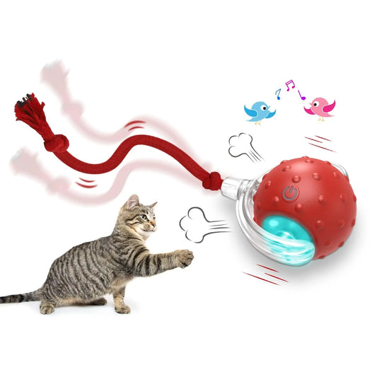 Interactive Magic Tail Cat Toy Ball – Auto Motion, Chirping & Plush Options